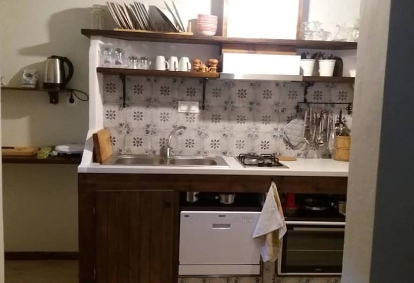 Beautiful Petrino 1880