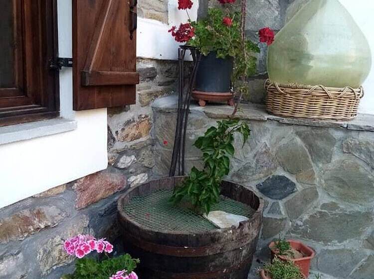 Beautiful Petrino 1880