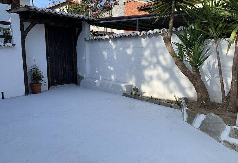 Beautiful Petrino 1880