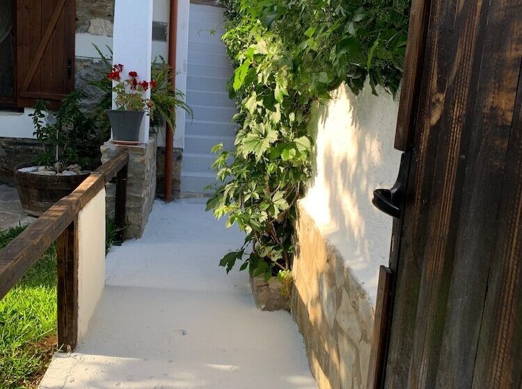 Beautiful Petrino 1880