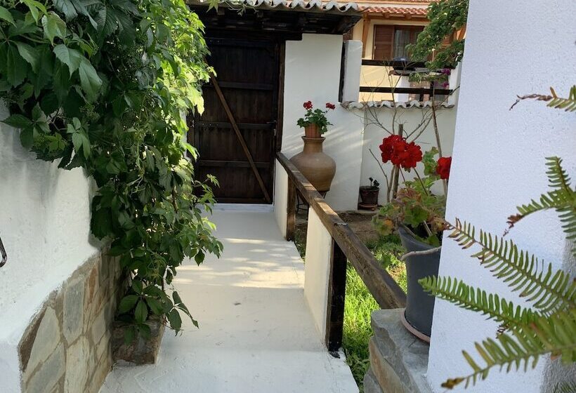 Beautiful Petrino 1880