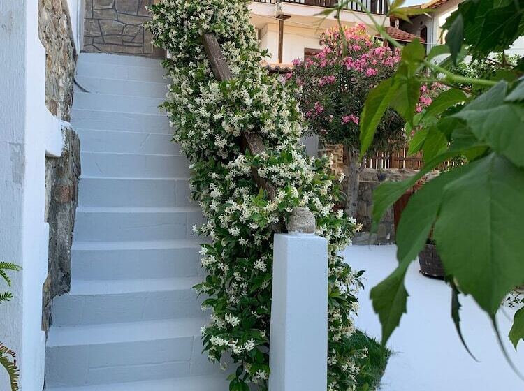 Beautiful Petrino 1880