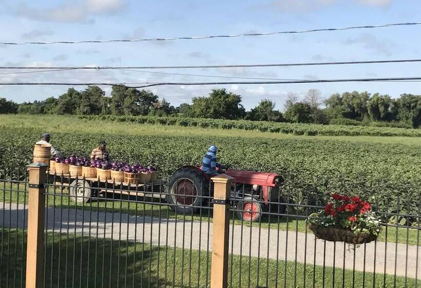 Dicksons Family Suite B&b