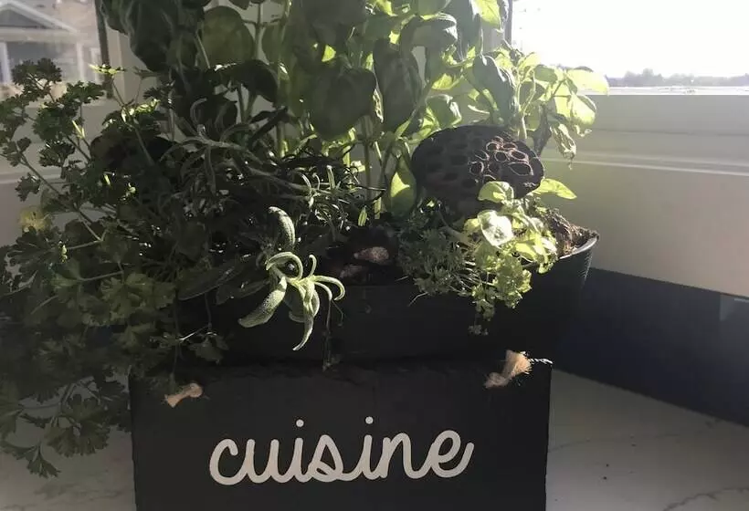 Dicksons Family Suite B&b