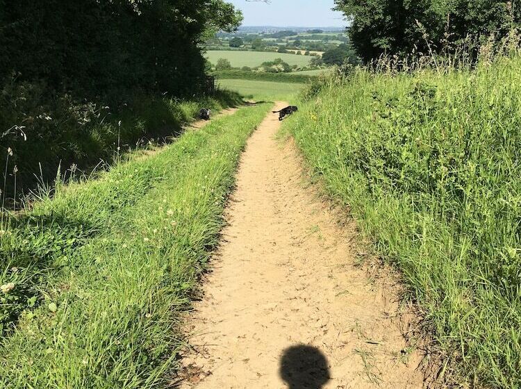 ホテル Garden Barn