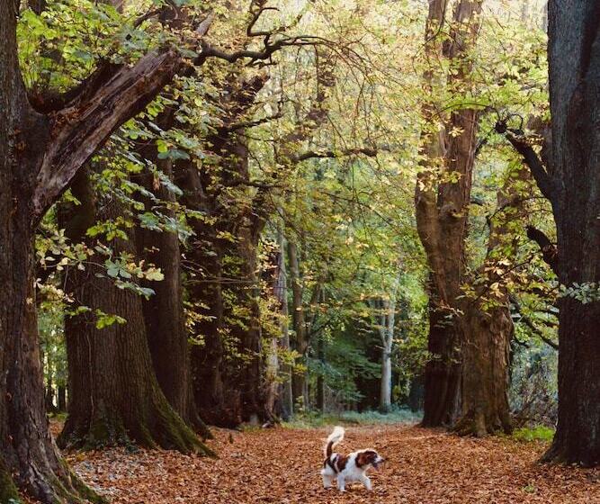 ホテル Garden Barn