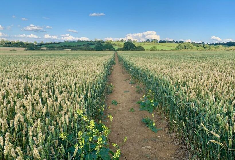 ホテル Garden Barn