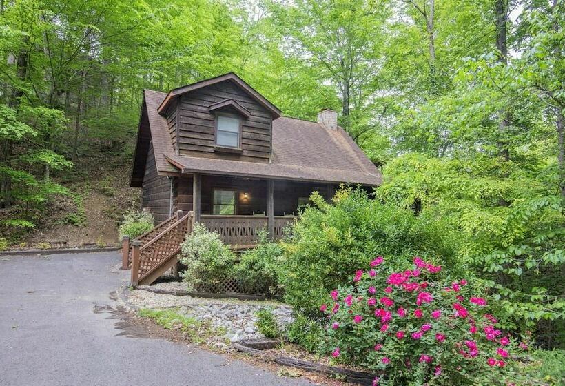 Squirrel S Leap By Eagles Ridge Resort