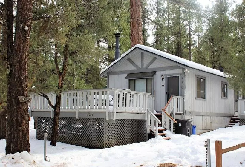 Cedar Pines