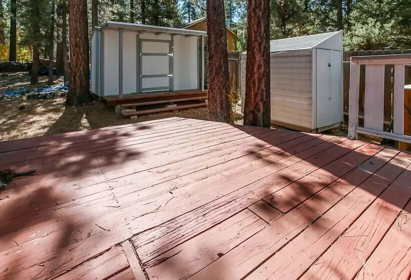 Cedar Pines