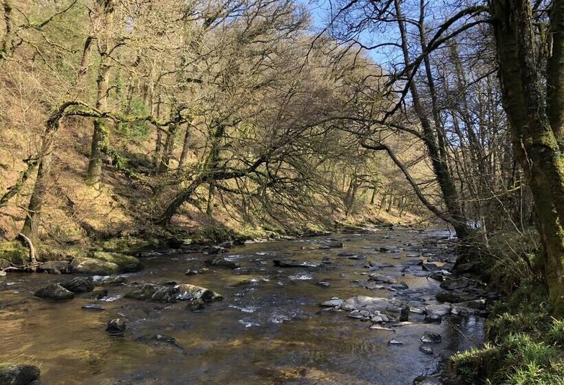 Enchanted Retreats At West Ford Devon