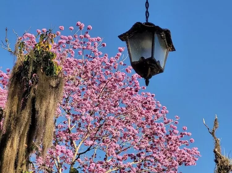 Maaseutuhotelli Fazenda Villaforte