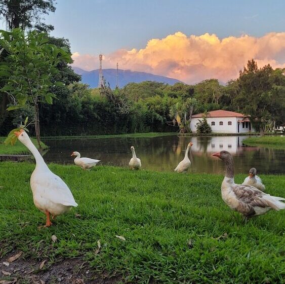 Сельский отель Fazenda Villaforte