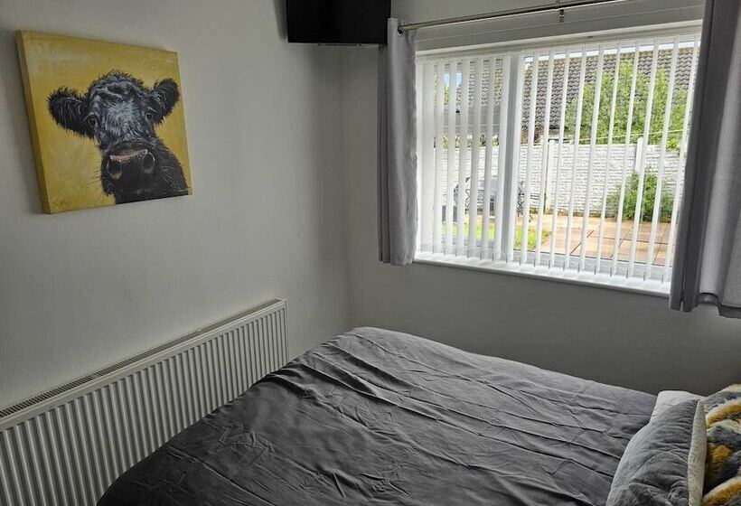 Modern, Spacious Walking Distance To Castle & Town