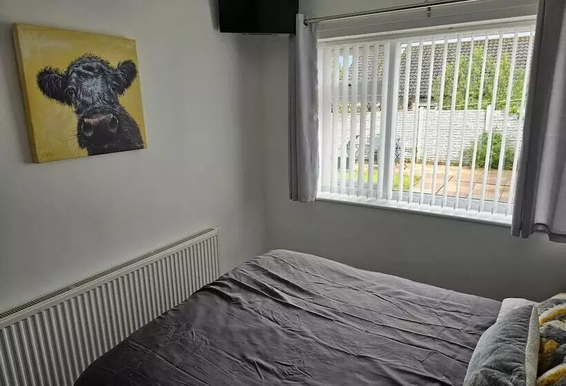 Modern, Spacious Walking Distance To Castle & Town