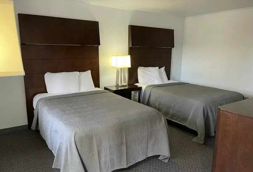 モーテル Rips Country Inn