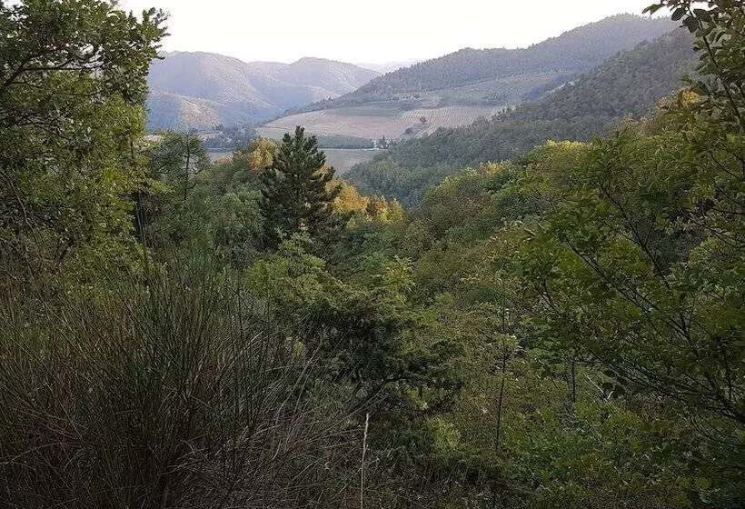 Room In B&b   #fortcozzo_2021 #jacuzzisuite #sauna