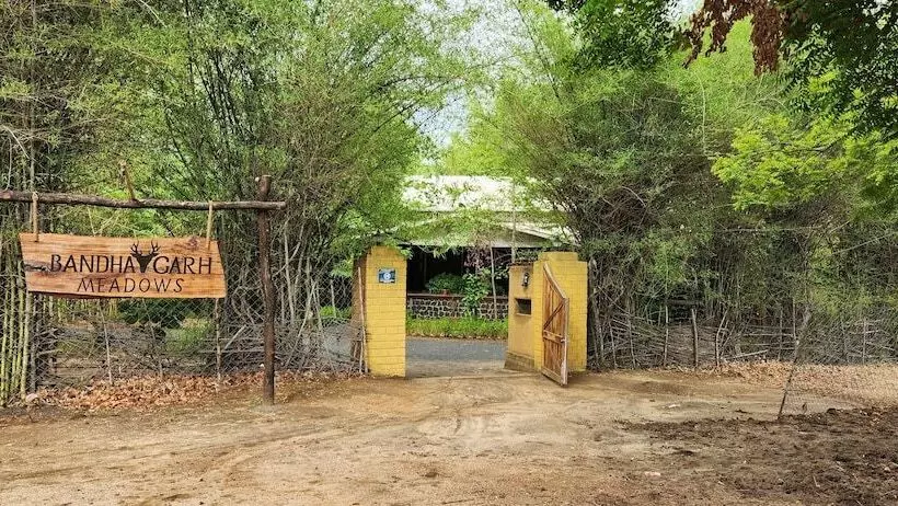 Lomakeskus Bandhavgarh Meadows