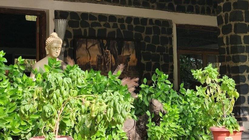 Курорт Bandhavgarh Meadows