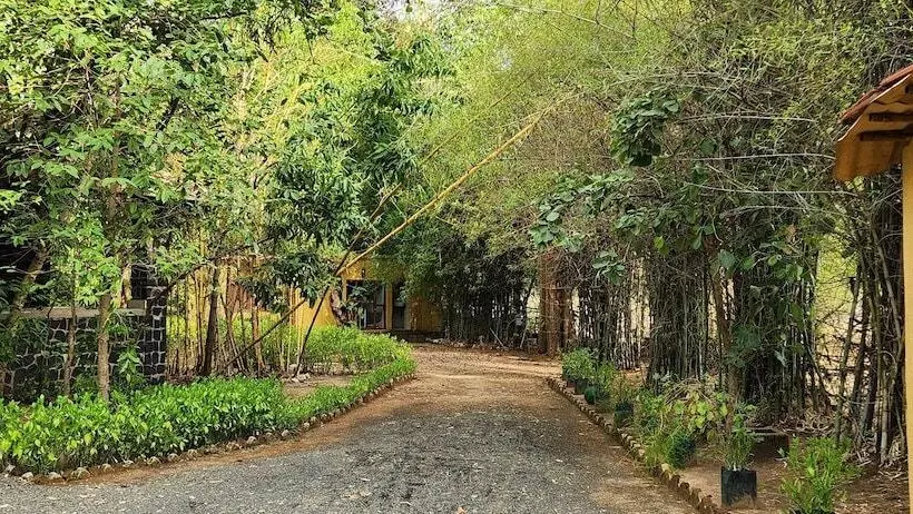 Lomakeskus Bandhavgarh Meadows