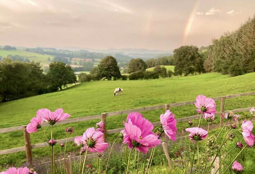 Inviting 5 Beth Caravan In Corwen North Wales