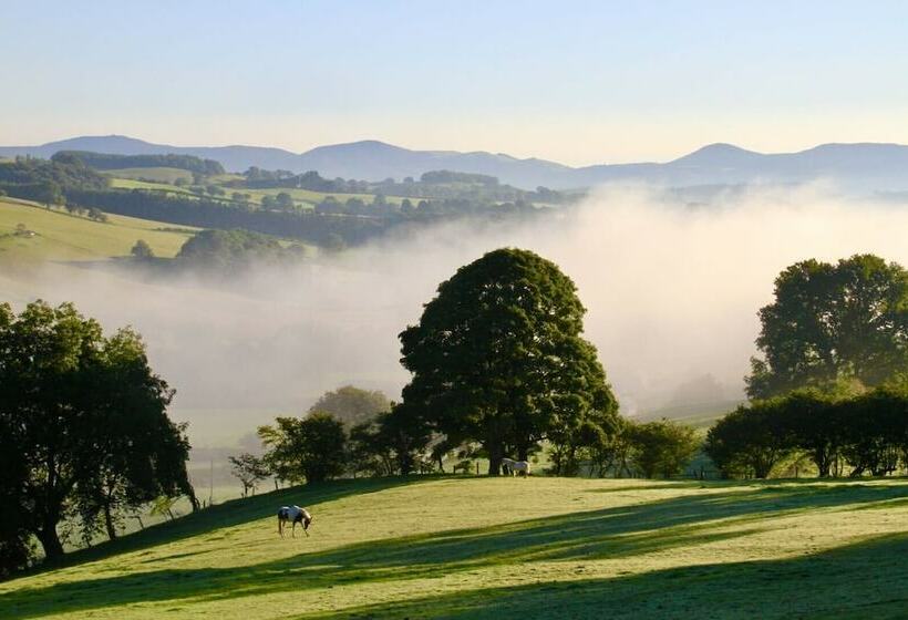 Inviting 5 Beth Caravan In Corwen North Wales