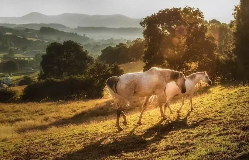 Inviting 5 Beth Caravan In Corwen North Wales