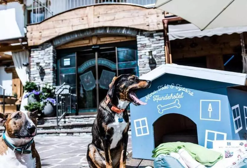 Alpenhotel Tyrol   Konzepthotel   Adults Only