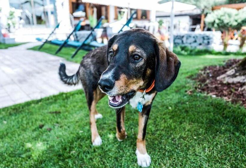 Alpenhotel Tyrol   Konzepthotel   Adults Only