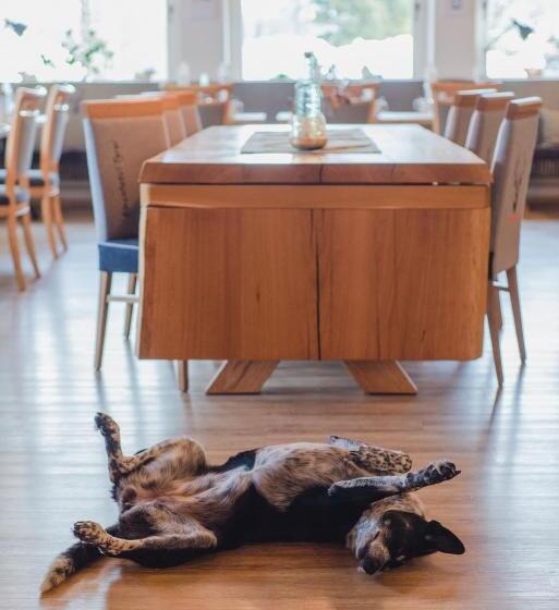 Alpenhotel Tyrol   Konzepthotel   Adults Only