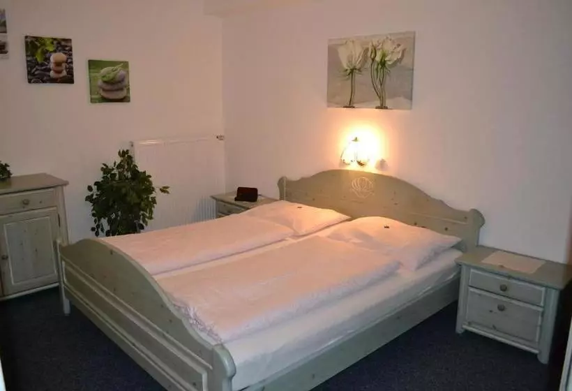 تختخواب و صبحانه Alpenpension Birkenhof