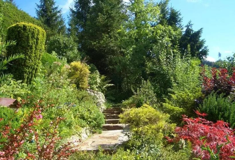 تختخواب و صبحانه Alpenpension Birkenhof