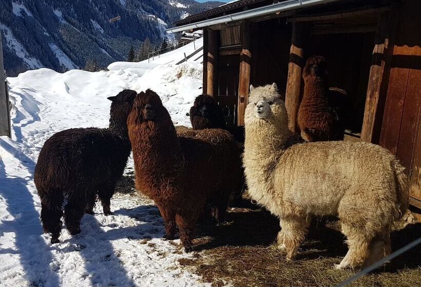 민박 Gasthof Pension Kohlplatzl