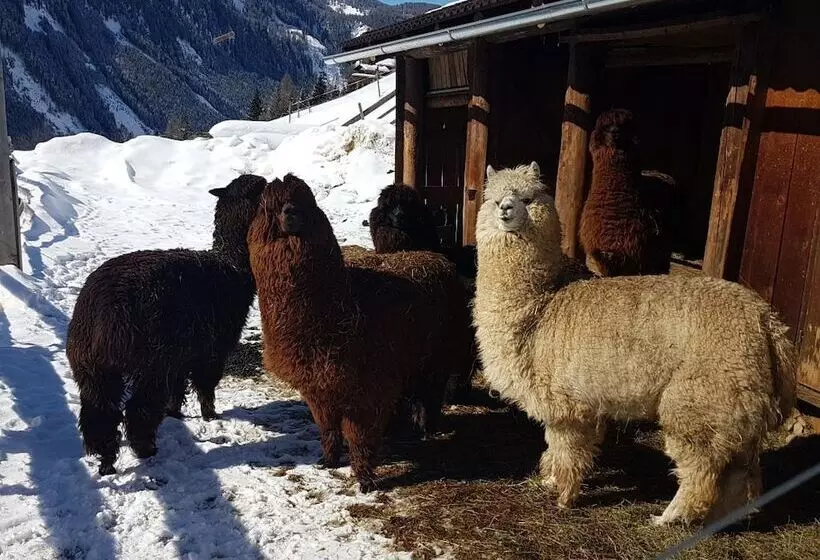 Bed and Breakfast Gasthof Pension Kohlplatzl