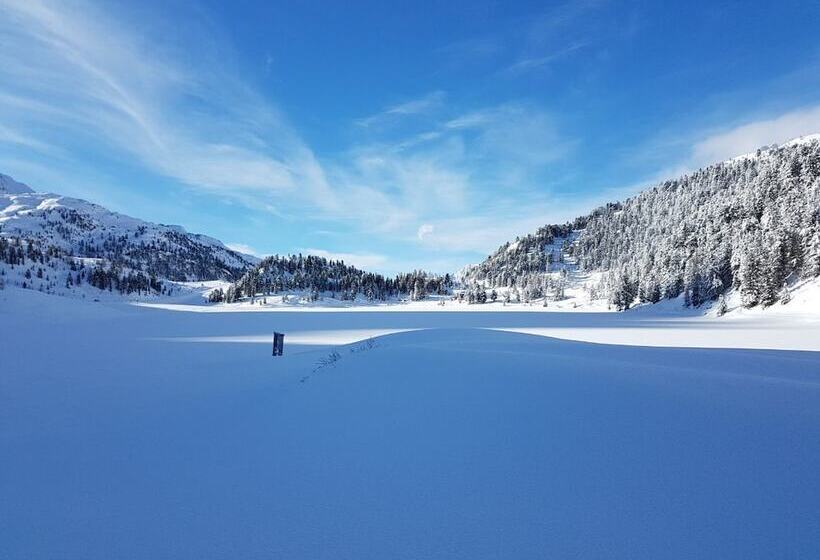 민박 Gasthof Pension Kohlplatzl
