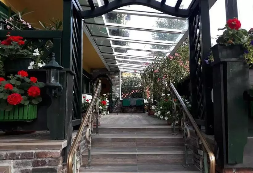 ベッドアンドブレックファースト Pension Steinbock