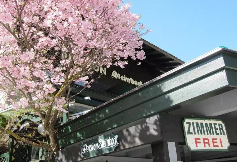 ベッドアンドブレックファースト Pension Steinbock
