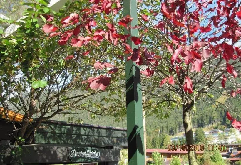 ベッドアンドブレックファースト Pension Steinbock