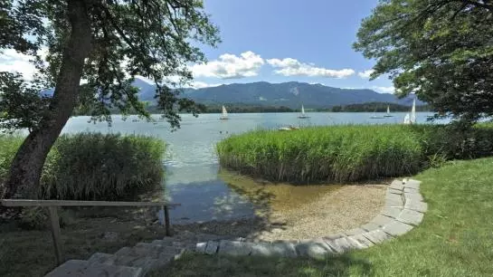 Apartments Am See Domenig