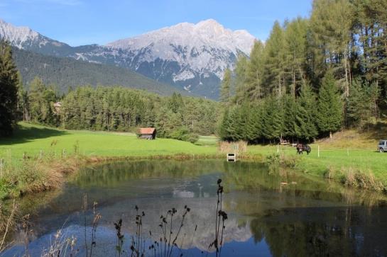 Bauernhof Apartments Zauscherhof