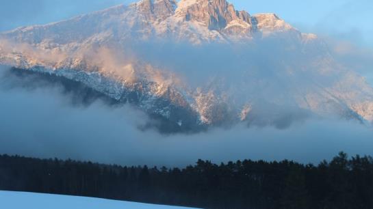 Bauernhof Apartments Zauscherhof