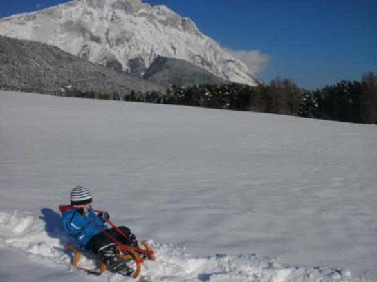 Bauernhof Apartments Zauscherhof