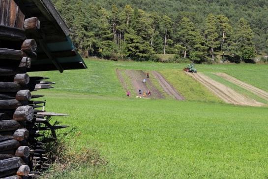 Bauernhof Apartments Zauscherhof