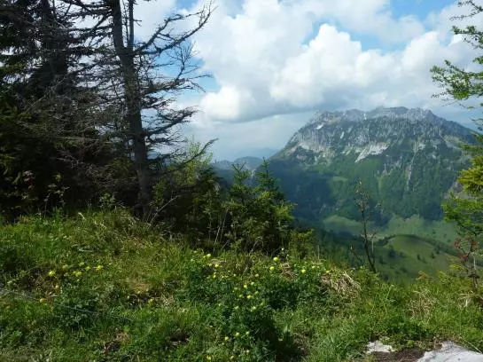 Bauernhof Appartement Zenzi Wurzenrainer