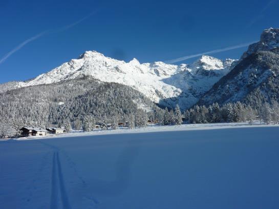 Bauernhof Appartement Zenzi Wurzenrainer