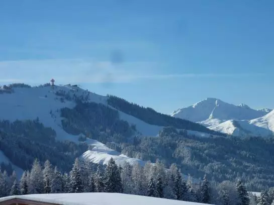 Bauernhof Appartement Zenzi Wurzenrainer