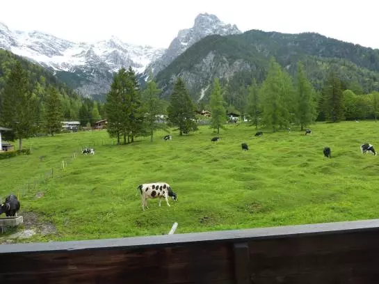 Bauernhof Appartement Zenzi Wurzenrainer