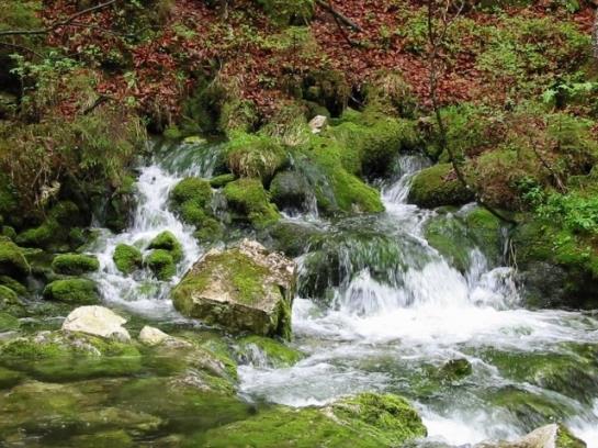 Bauernhof Simmerlhof