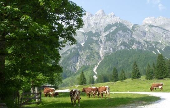 Bauernhof Vorderfromm