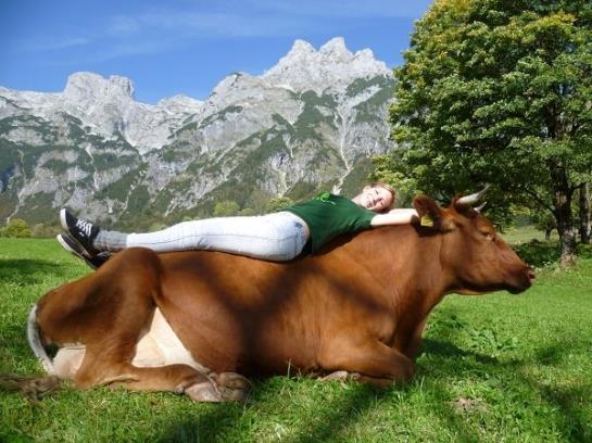 Bauernhof Vorderfromm